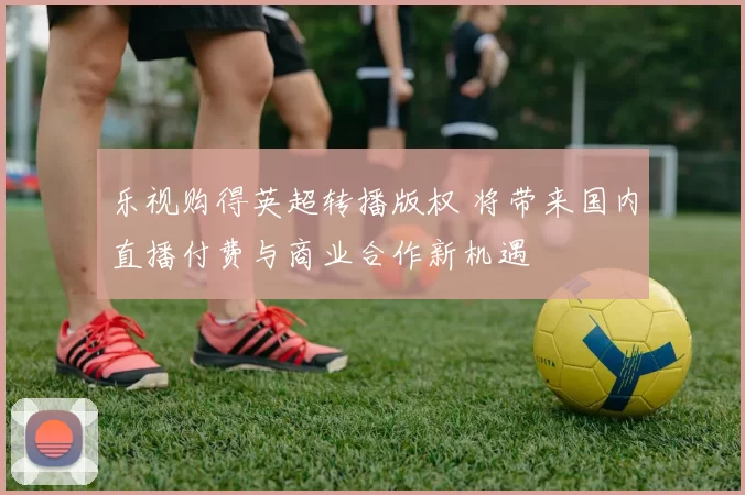 乐视购得英超转播版权 将带来国内直播付费与商业合作新机遇