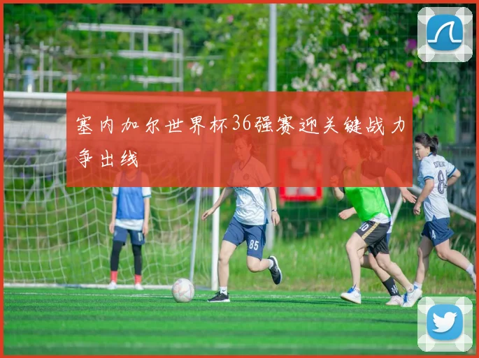 塞内加尔世界杯36强赛迎关键战力争出线