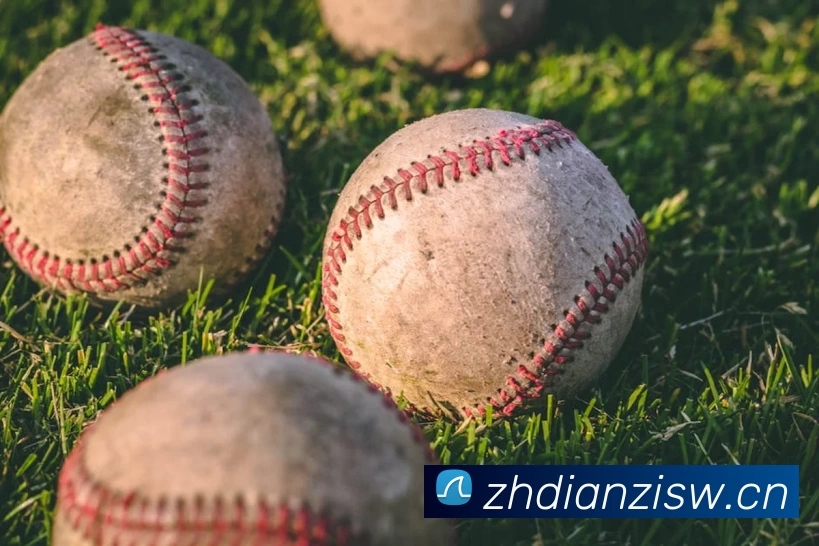 世界杯官方入口平台生态图